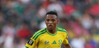 Broos Backs Mofokeng to Thrive in Belgium Despite Expected Adjustment Period