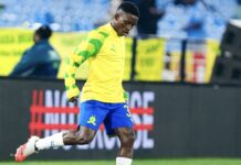 Cardoso identifies key areas of improvement for Ndlovu