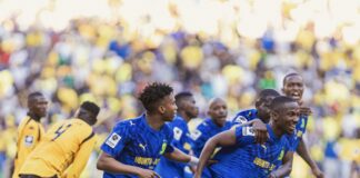 Cardoso backs Mailula to make his mark at Sundowns