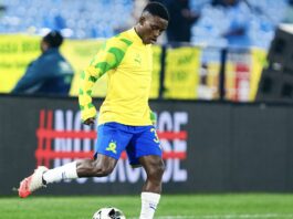 Cardoso identifies key areas of improvement for Ndlovu